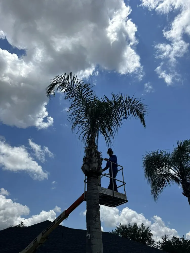 Trusted landscaping services with custom design in Lakeland, FL by Property Care Management