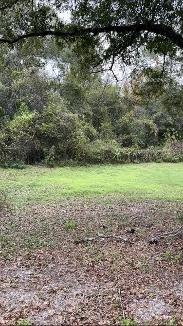 Affordable outdoor landscaping experts serving Lakeland, FL - Property Care Management