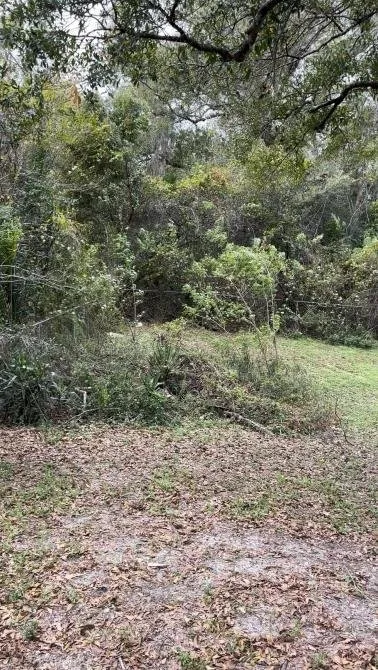 Expert landscape design for residential properties in Lakeland, FL by Property Care Management