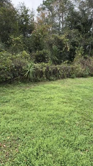 Expert landscape design experts serving Lakeland, FL - Property Care Management