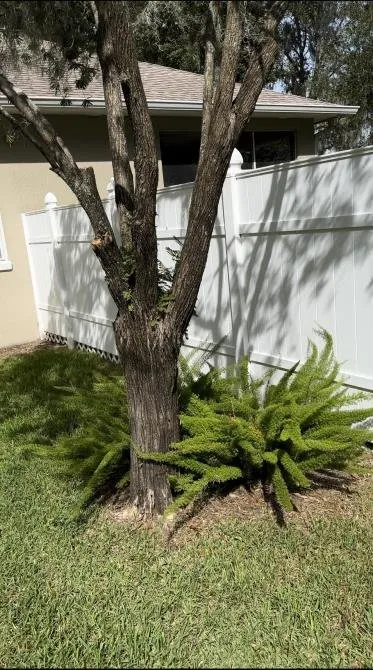 Professional garden landscaping experts serving Lakeland, FL - Property Care Management