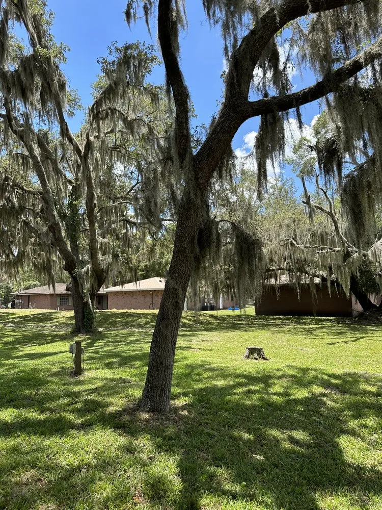 Trusted landscape design for homes across Lakeland, FL - Property Care Management