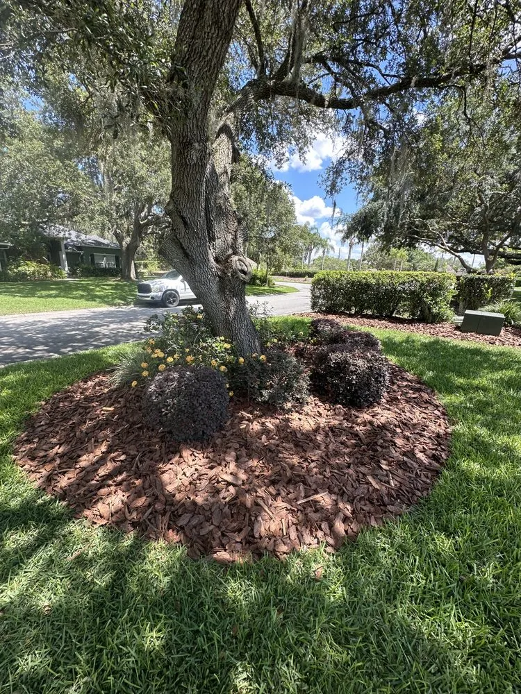 Local garden landscaping for outdoor upgrades across Lakeland, FL - Property Care Management