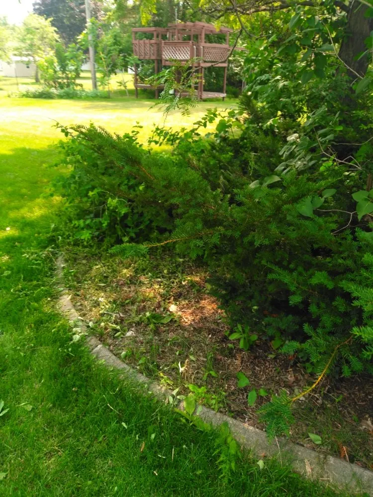 Affordable landscape design in St. Cloud, MN - Property Care Services