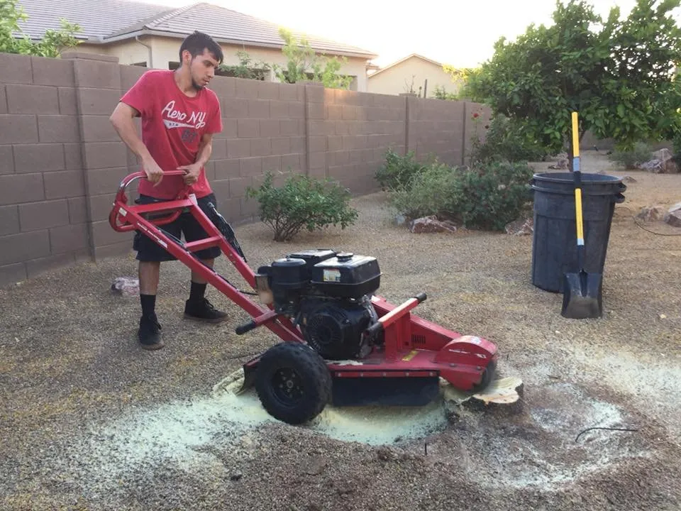Local garden landscaping near you in Marana, AZ by Property Clean-Up & Landscaping
