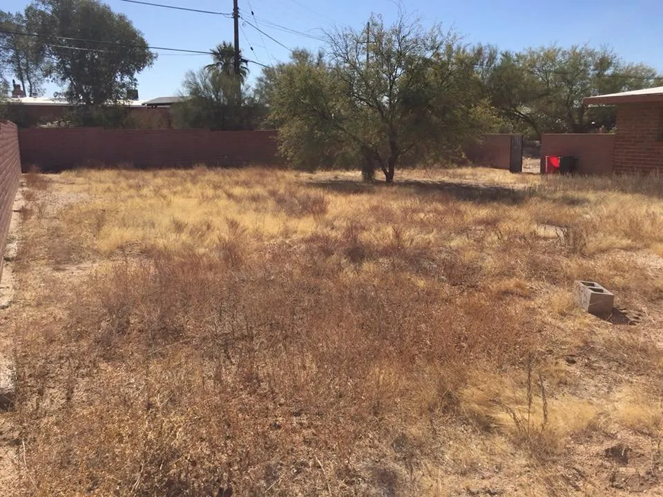 Local lawn care service experts serving Marana, AZ - Property Clean-Up & Landscaping