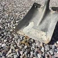 Trusted landscape design in Marana, AZ by Property Clean-Up & Landscaping