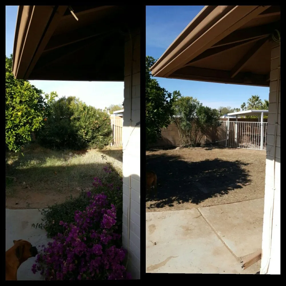 Reliable lawn care service for year-round maintenance across Marana, AZ - Property Clean-Up & Landscaping