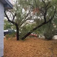 Professional landscape design for beautiful yards in Marana, AZ by Property Clean-Up & Landscaping