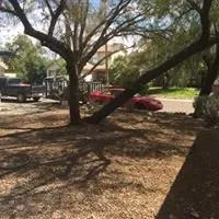 Local landscape installation in Marana, AZ by Property Clean-Up & Landscaping