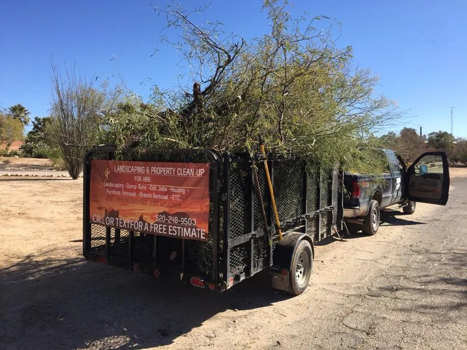 Expert landscape design near you across Marana, AZ - Property Clean-Up & Landscaping