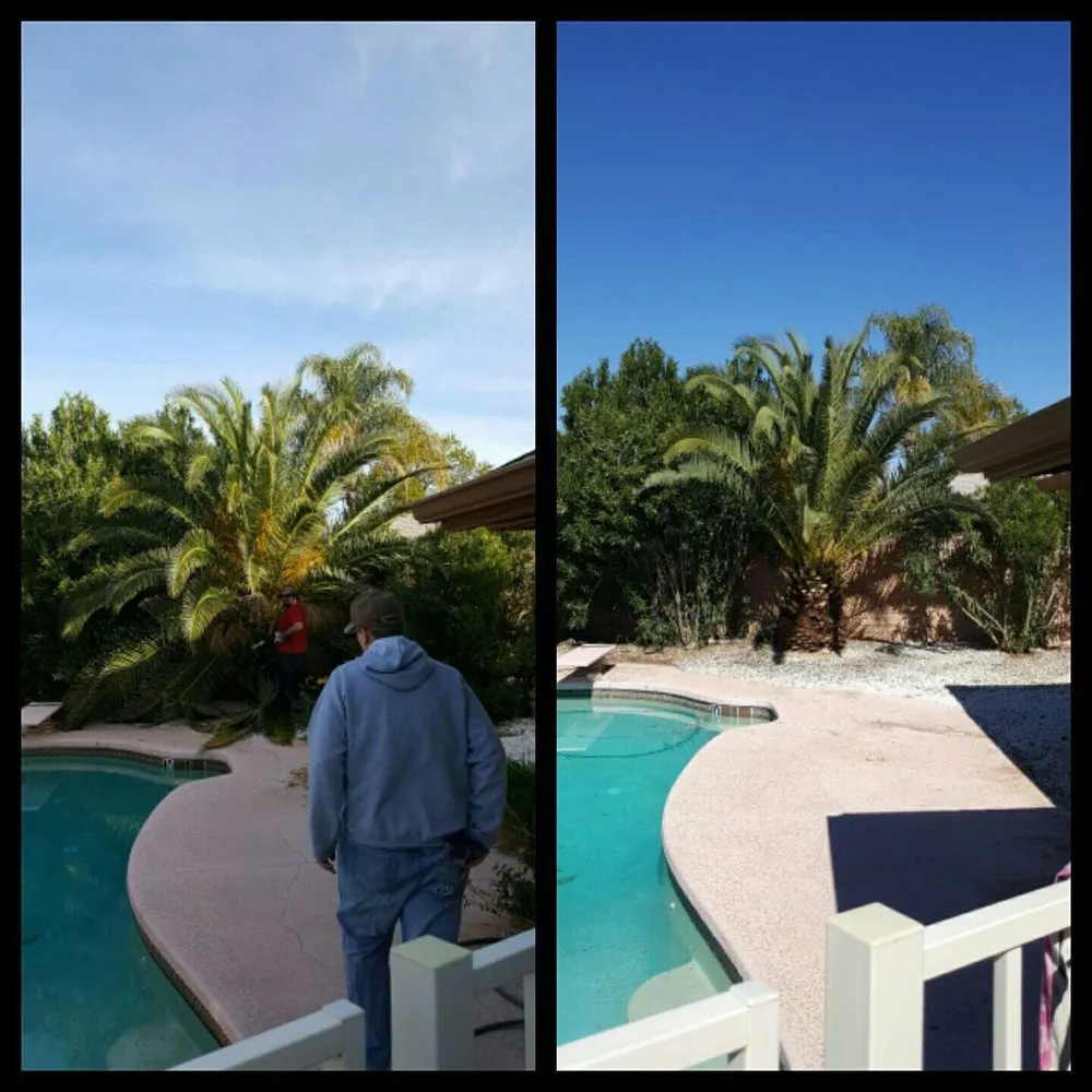 Local landscape design in Marana, AZ by Property Clean-Up & Landscaping