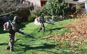 Reliable landscape installation for outdoor upgrades across Alpharetta, GA - Property Cleanup, LLC