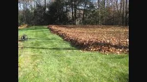 Expert landscape installation experts serving Alpharetta, GA - Property Cleanup, LLC