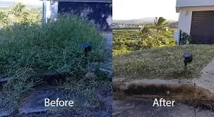 Reliable lawn care service in Alpharetta, GA by Property Cleanup, LLC