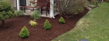 Reliable lawn mowing service experts serving Alpharetta, GA - Property Cleanup, LLC