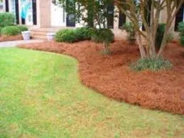 Expert landscaping services in Alpharetta, GA - Property Cleanup, LLC