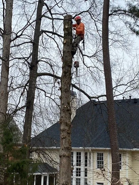 Local residential landscaping in Alpharetta, GA - Property Cleanup, LLC