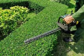 Expert garden landscaping for beautiful yards in Alpharetta, GA by Property Cleanup, LLC