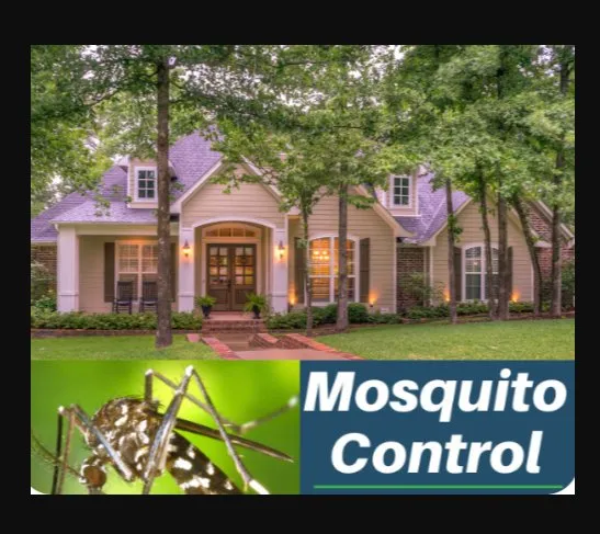 Custom landscaping services experts serving Alpharetta, GA - Property Cleanup, LLC