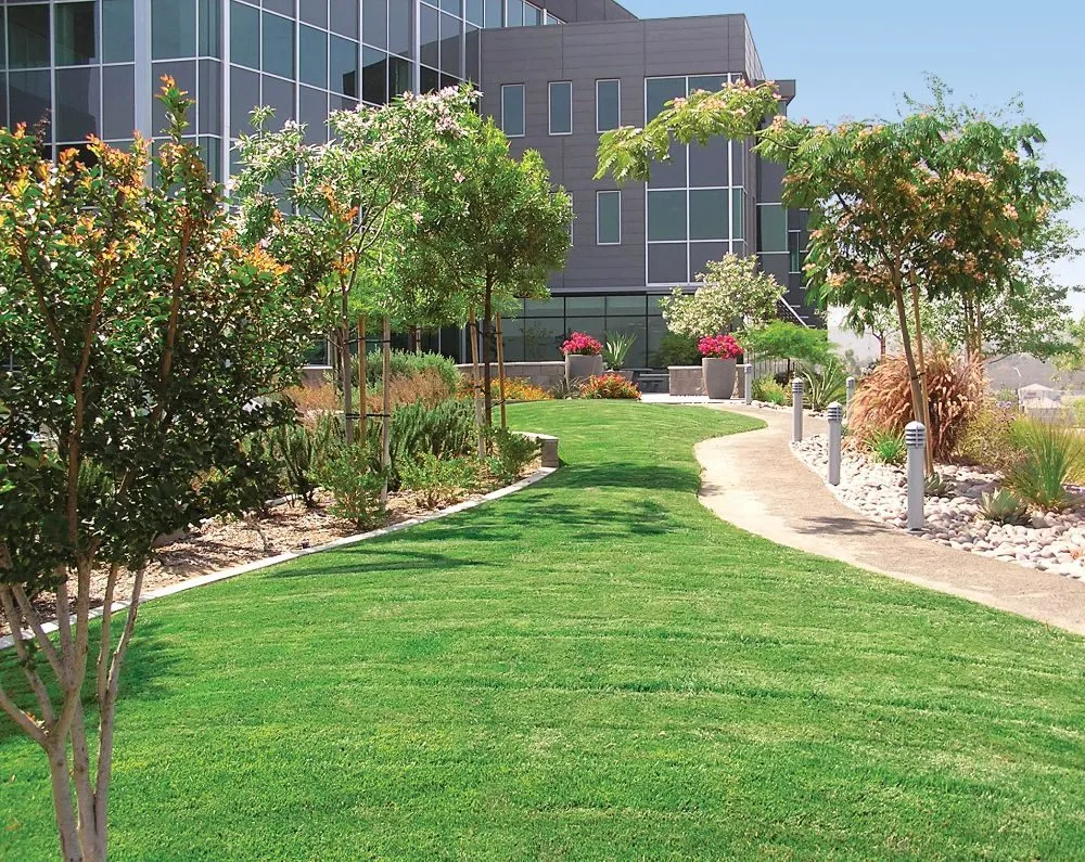 Top-rated outdoor landscaping in Deltona, FL - Property Control Solutions