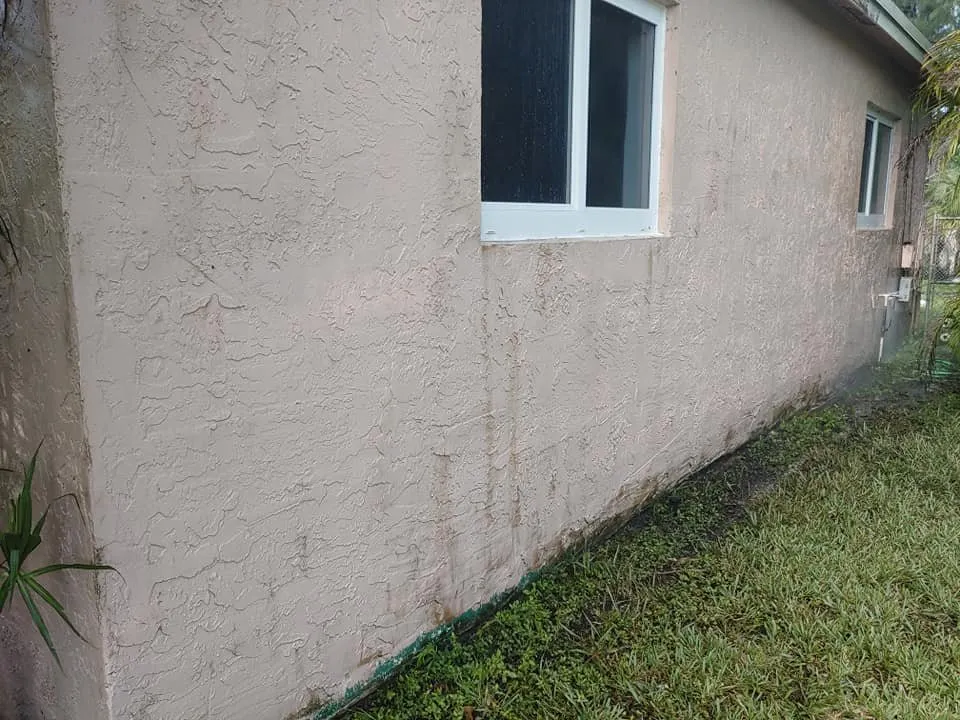 Affordable yard maintenance for year-round maintenance in Boca Raton, FL by Property Creations Of Boca