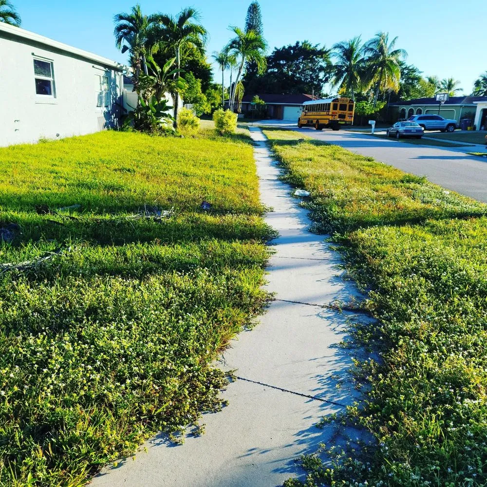 Professional lawn care service near you across Boca Raton, FL - Property Creations Of Boca