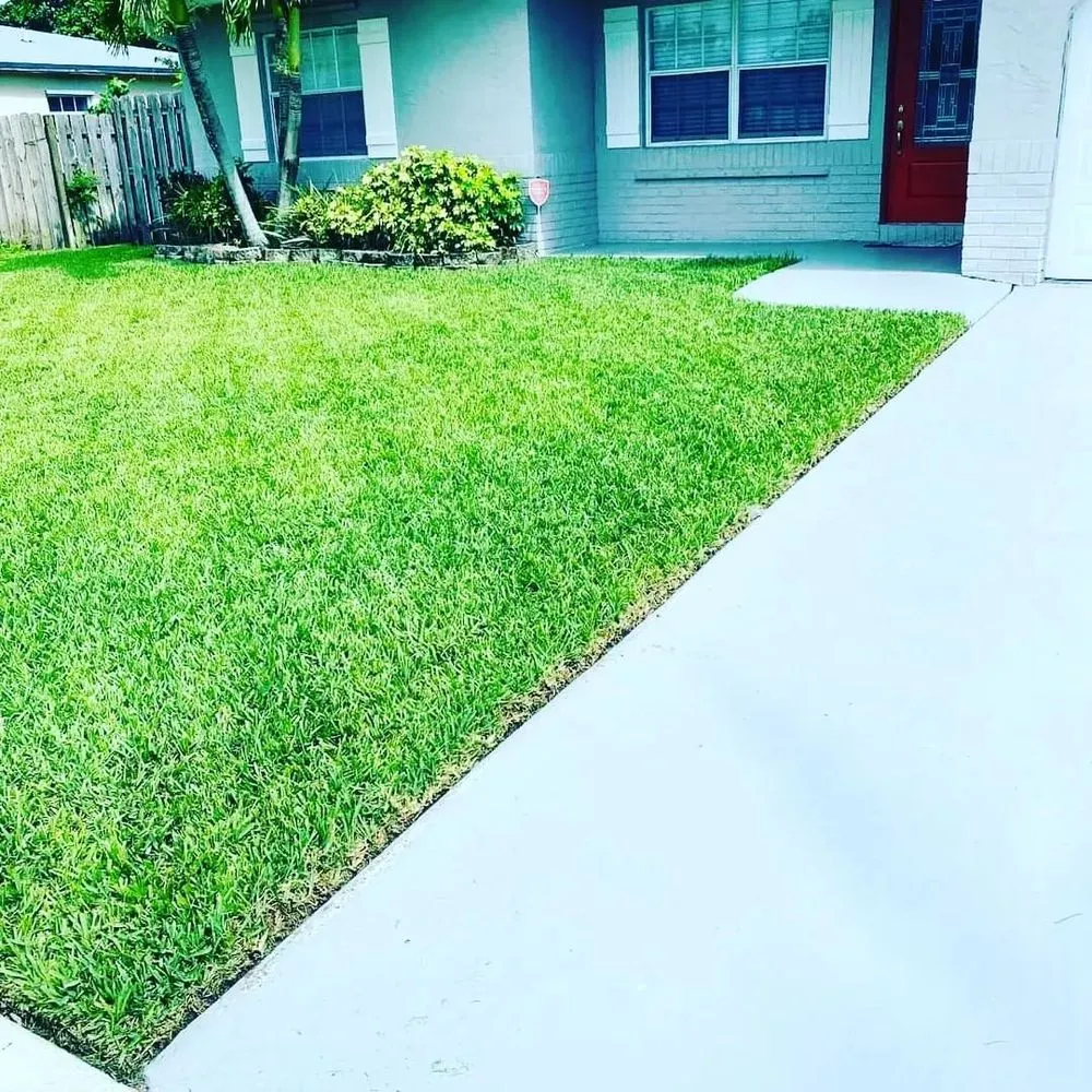 Expert residential landscaping in Boca Raton, FL - Property Creations Of Boca