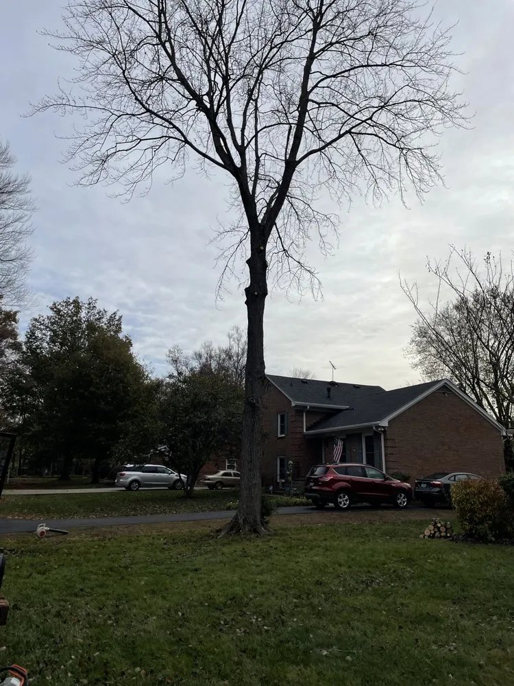 Expert landscaping services for beautiful yards in Glenview Manor, KY by Property Enhancement Services