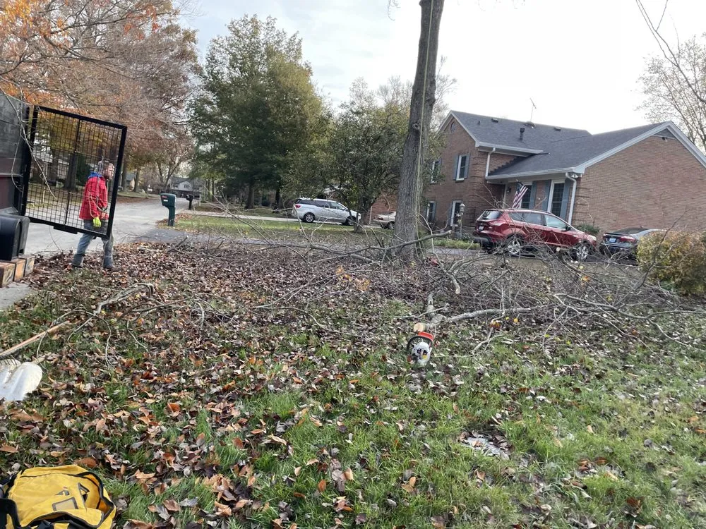 Expert landscape installation in Glenview Manor, KY - Property Enhancement Services