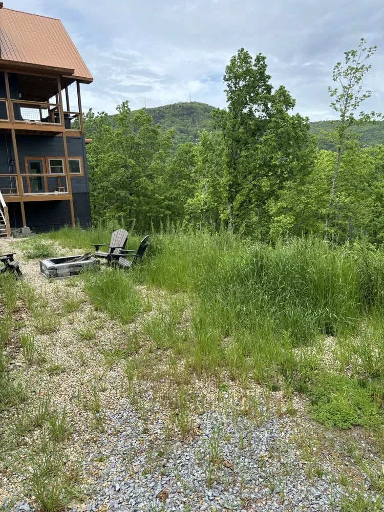 Local lawn care service in Madisonville, TN - Property Enhancements