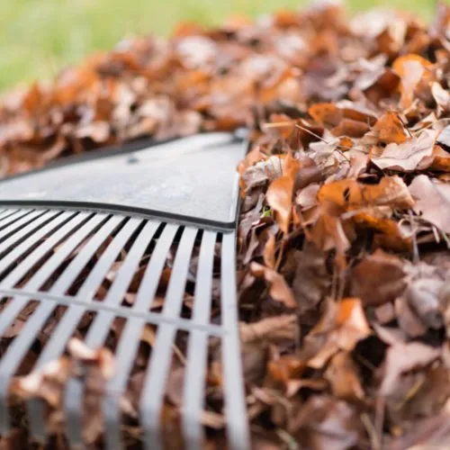 Trusted lawn mowing service for outdoor upgrades in Prairieville, LA by Property Green