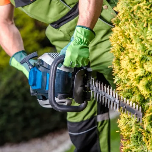 Expert lawn mowing service in Prairieville, LA by Property Green