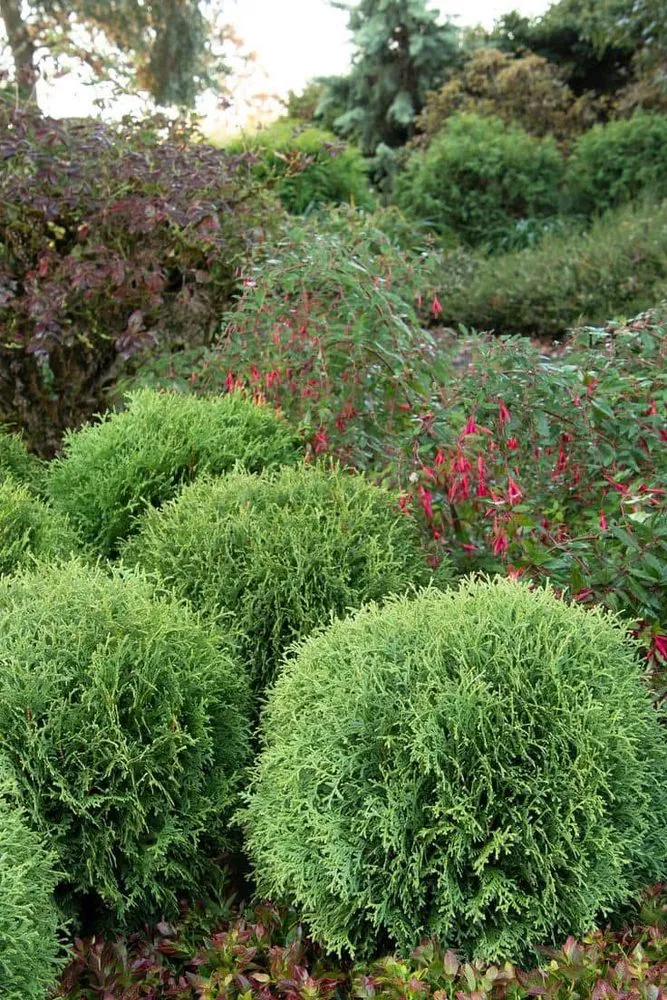 Affordable yard cleanup service in Spanish Fort, AL by Property Improvement Center