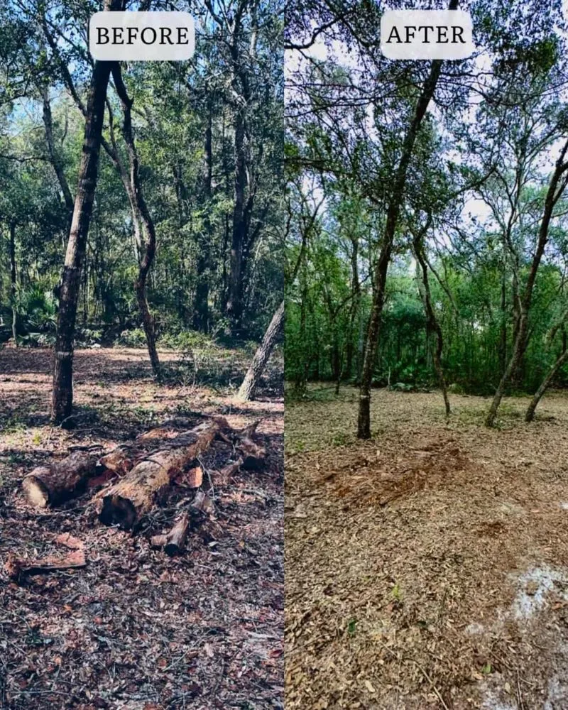 Expert lawn care service in Dade City, FL - Property Improvement Services