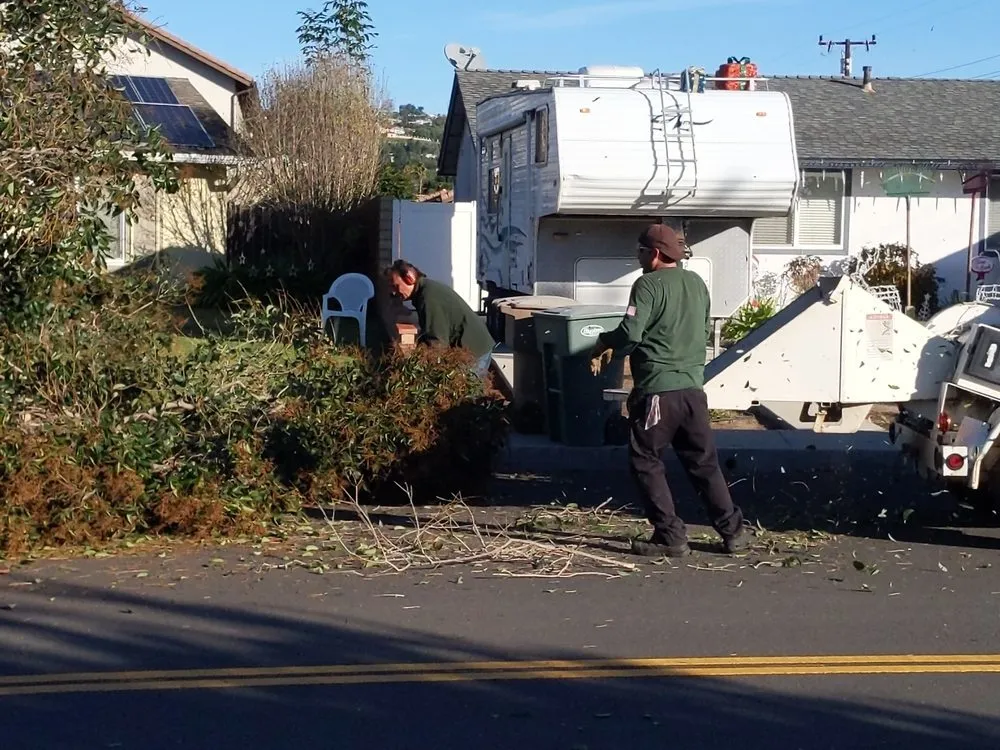 Professional residential landscaping for year-round maintenance across Westlake Village, CA - Property Improvements Unlimited