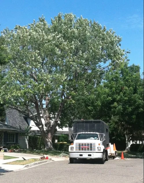 Trusted landscape design experts serving Westlake Village, CA - Property Improvements Unlimited