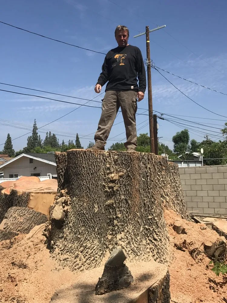 Trusted lawn mowing service for year-round maintenance across Westlake Village, CA - Property Improvements Unlimited