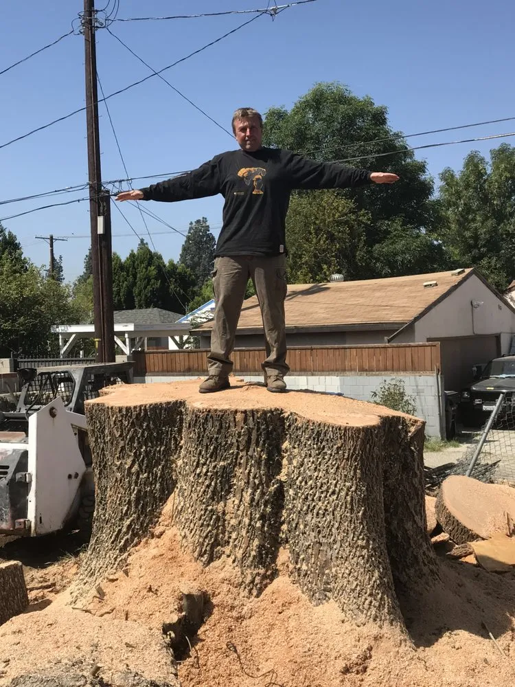 Trusted lawn mowing service in Westlake Village, CA by Property Improvements Unlimited