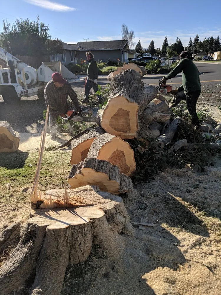 Reliable landscape installation experts serving Westlake Village, CA - Property Improvements Unlimited