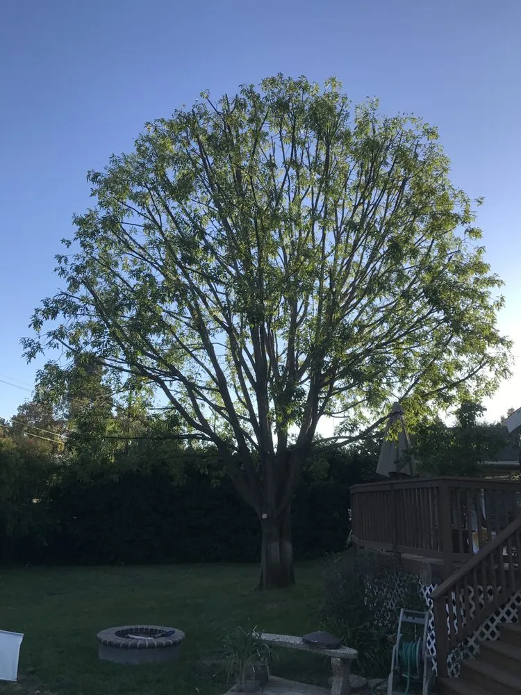 Affordable garden landscaping in Westlake Village, CA by Property Improvements Unlimited