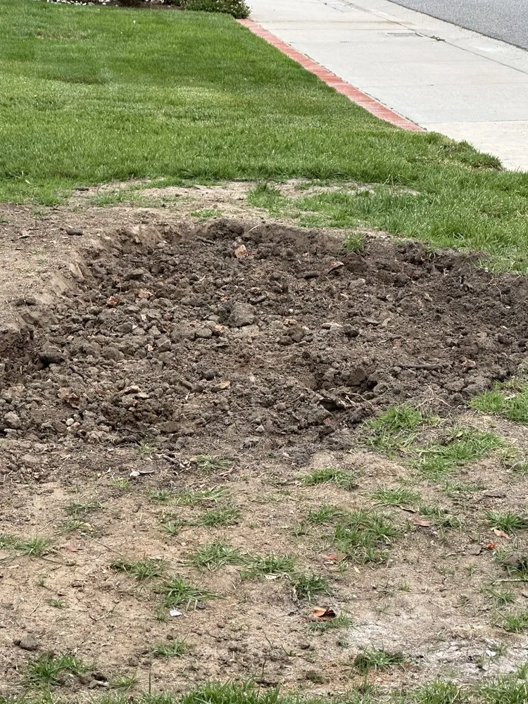 Expert landscaping services in Westlake Village, CA by Property Improvements Unlimited