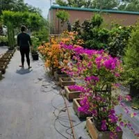 Custom landscape installation in Merritt Island, FL - Property King Landscape Design & Installation