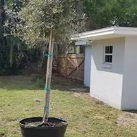 Professional lawn care service for residential properties across Merritt Island, FL - Property King Landscape Design & Installation