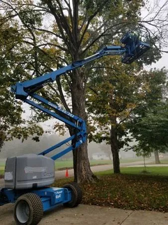 Professional yard cleanup service for year-round maintenance in Union City, MI by Property Land and Homeowner Services