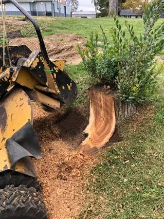 Professional lawn mowing service near you in Union City, MI by Property Land and Homeowner Services