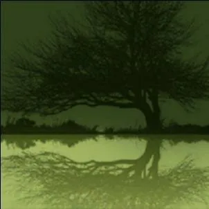 Reliable lawn care service experts serving West Chester, PA - Property Landscape Services Inc. West Chester