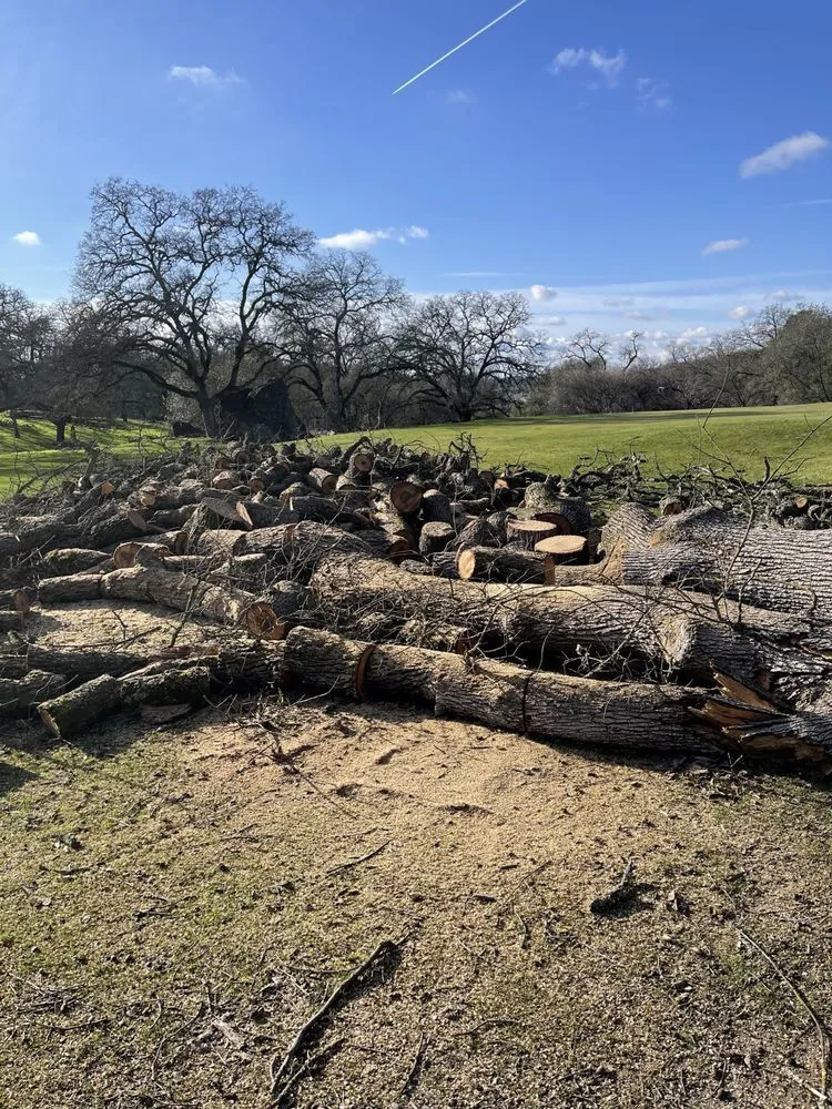 Affordable landscape design near you in Ione, CA by Property Landscape Solutions