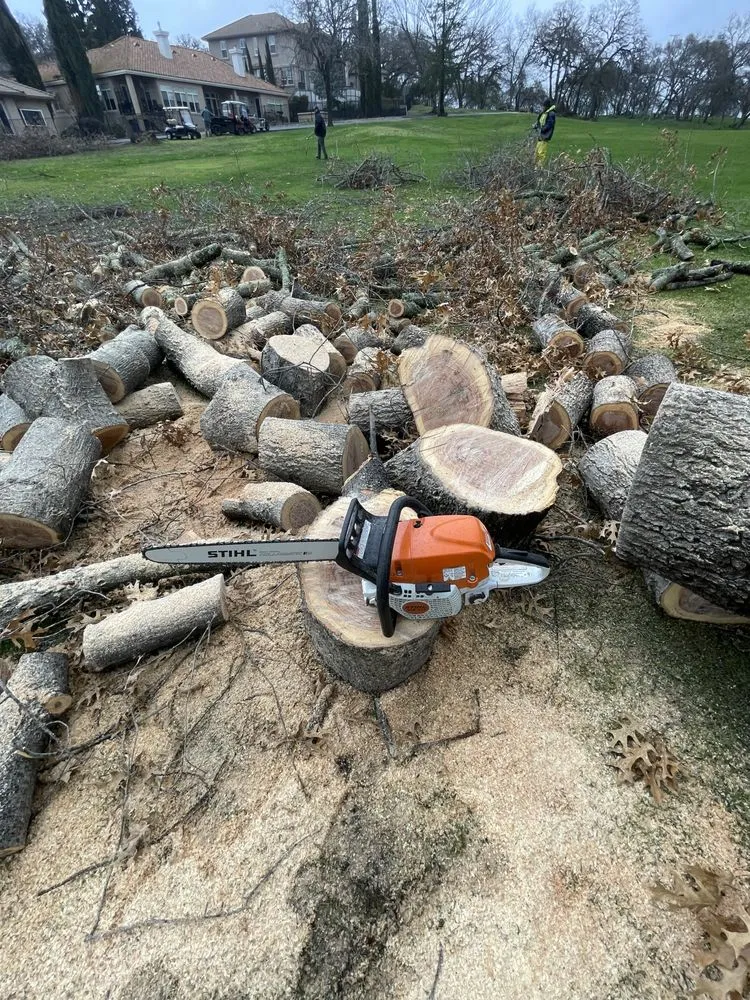 Trusted lawn mowing service experts serving Ione, CA - Property Landscape Solutions