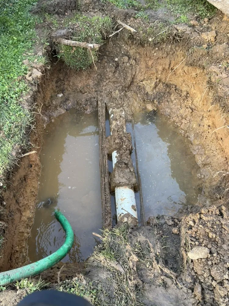 Top-rated lawn care service experts serving Ione, CA - Property Landscape Solutions